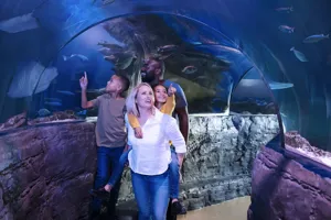 VIP unique experiences at Sea Life London