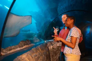 Sealife VIP Experience Lates