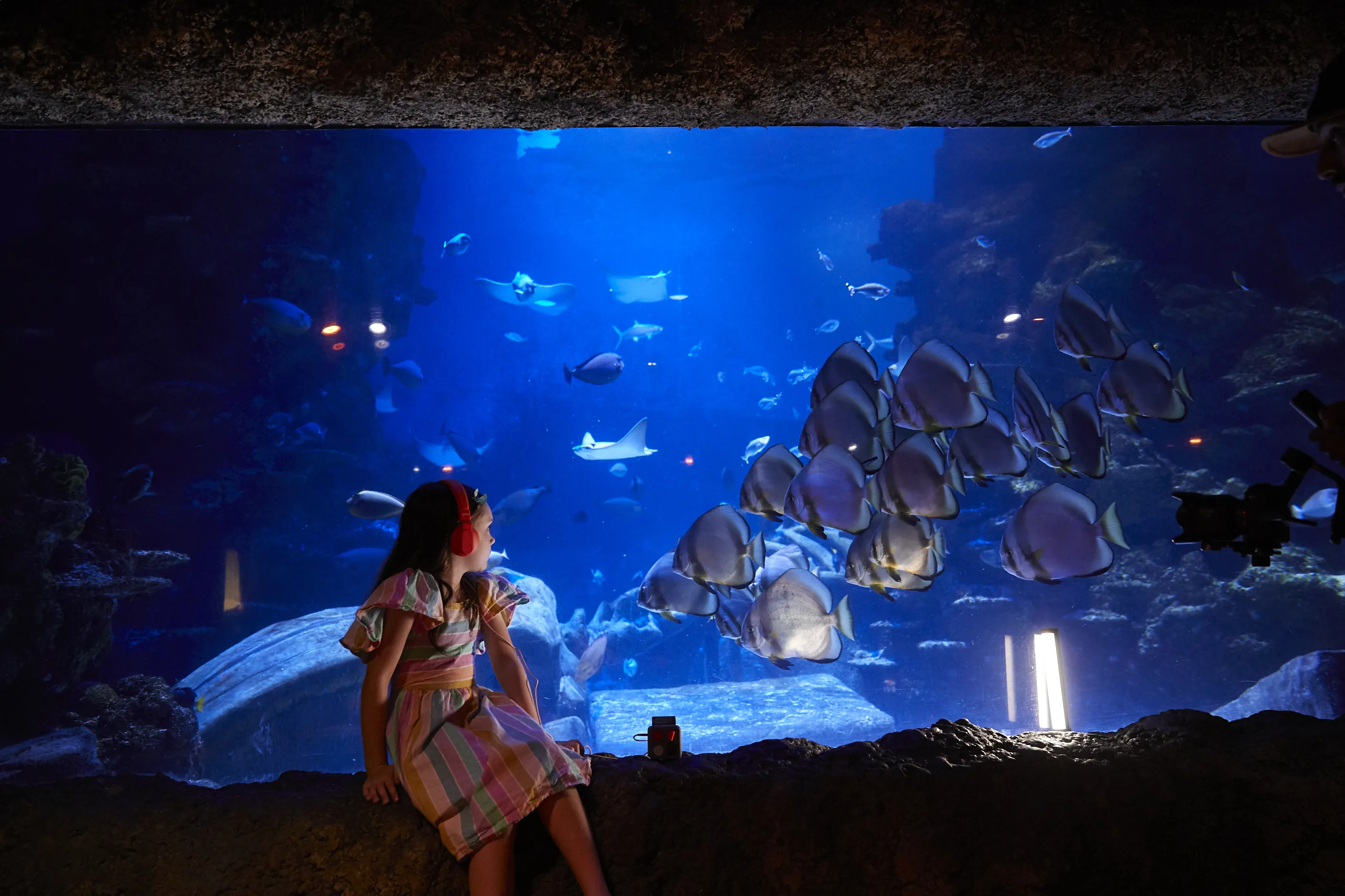 5. Audio Tour Girl Ocean Tank