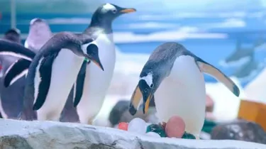 An egg-cellent Easter treat