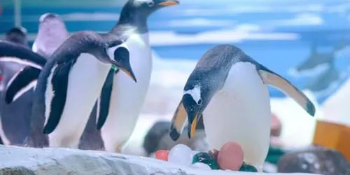 An egg-cellent Easter treat