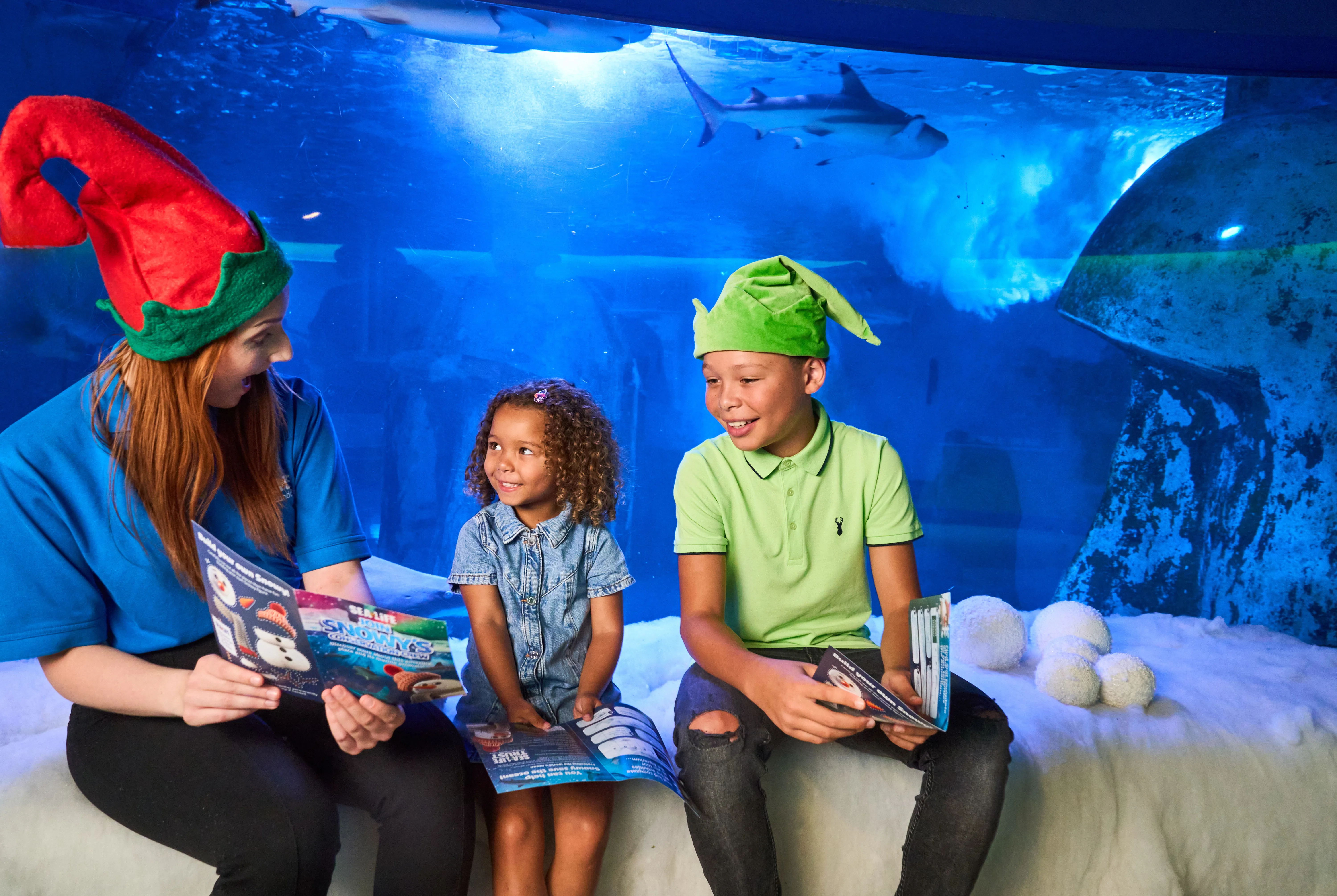 Sealife Xmas SJ 059