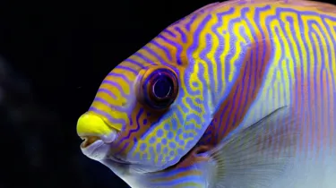 David Clode F7 I14hajqk Unsplash