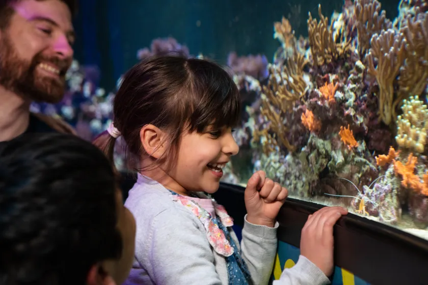 London Explorer Pass | 3 Attractions