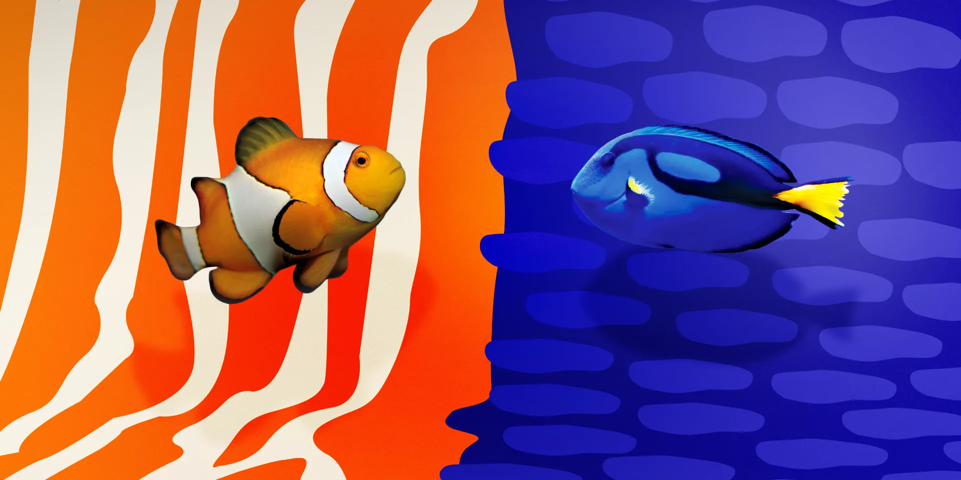 Colourful Creatures Web Banner 2