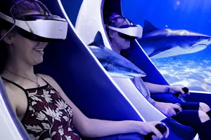 Standard ticket + VR experience
