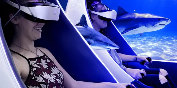 Standard ticket + VR experience