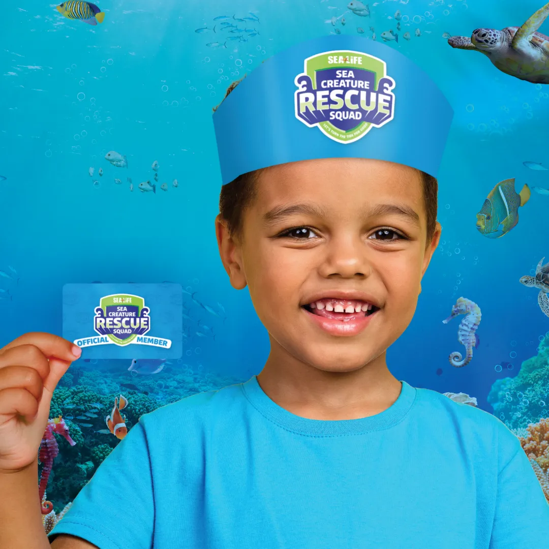 MAKE YOUR OWN RESCUE
