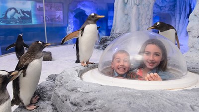 Students in a globe surrounded by penguins