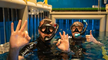 Sealife VIP Experience 29
