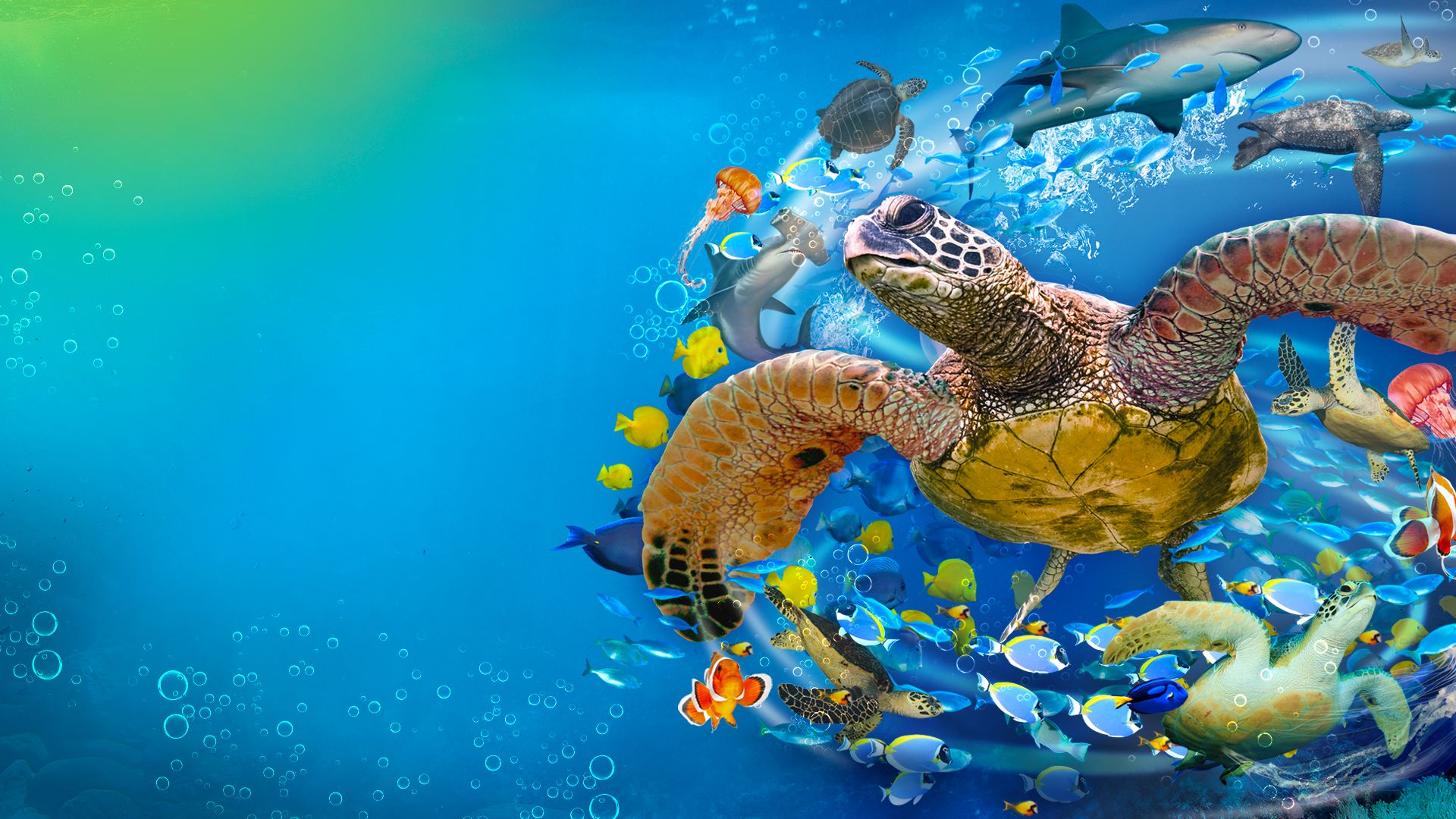 www.visitsealife.com