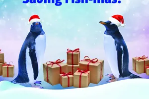 Christmas at sea life