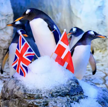 Penguin Blog Thumbnail