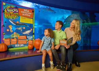 Sealife Halloween SJ 118