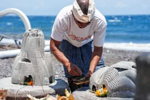 A member of the resting reef team in Bali