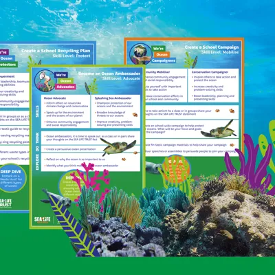 Friends Of The Sea Challenge Cards 1300X900