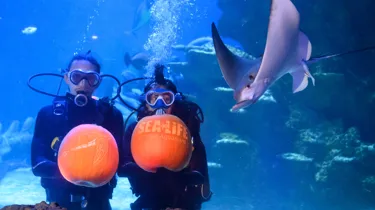 Sealife Halloween 21