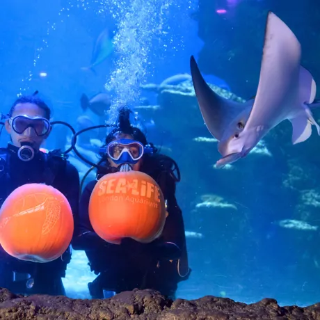 Sealife Halloween 21