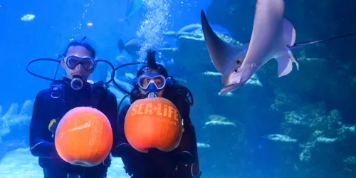 Sealife Halloween 21