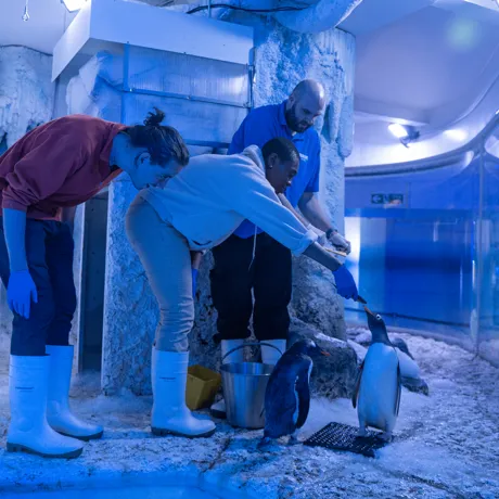 Sealife VIP Experience 16