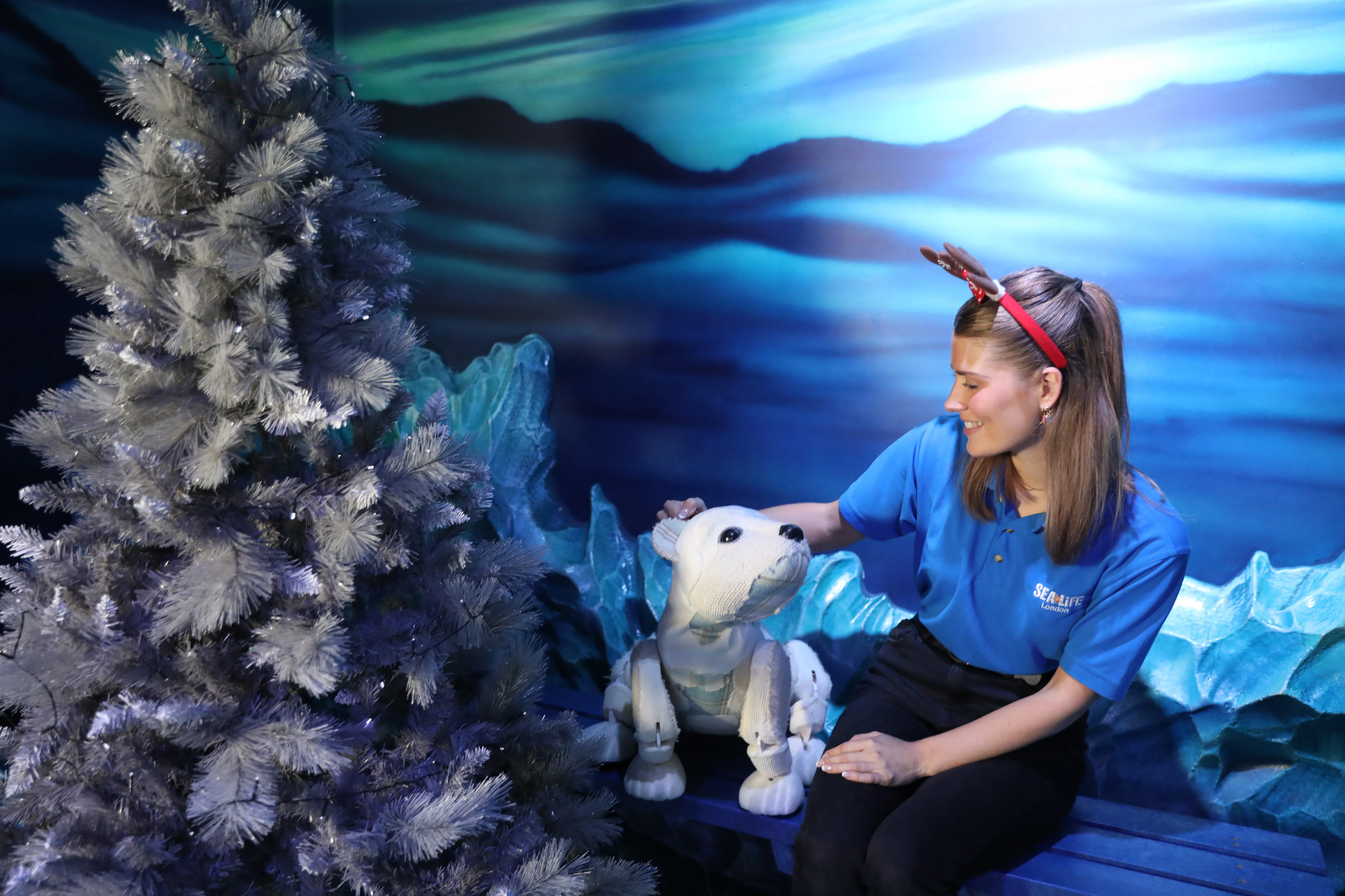 SEA LIFE London staff member sitting with Al the Polar Bear Puppet besides a Christmas tree 