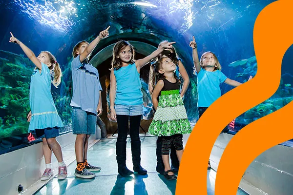 Schools Section 2 600X400