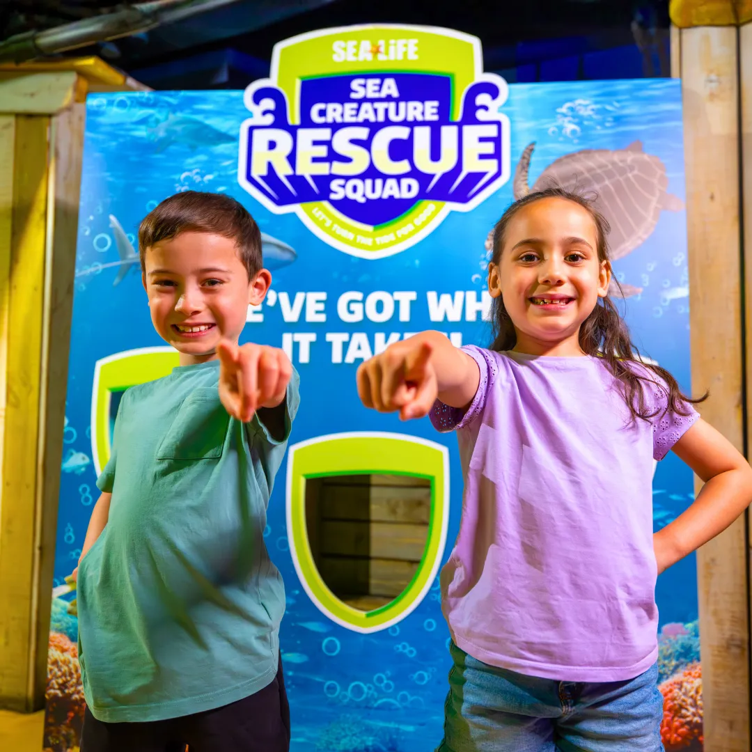 Sea Creatures NEW