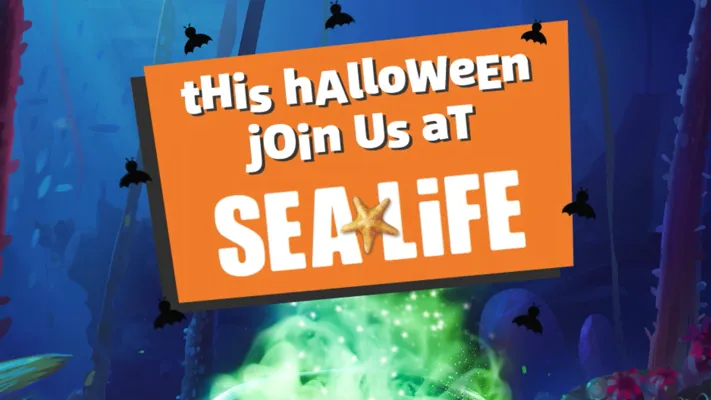Capture Video Halloween