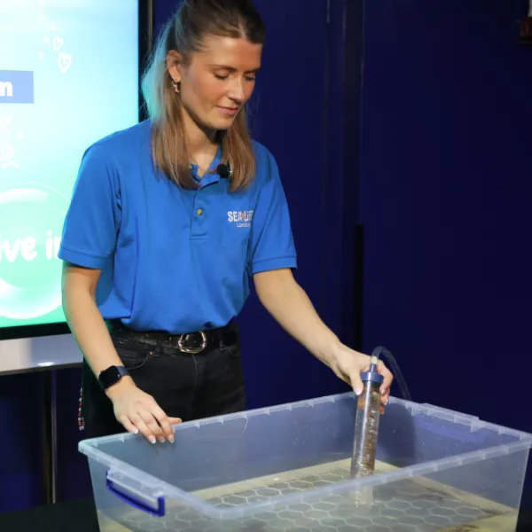 STEM Content 2