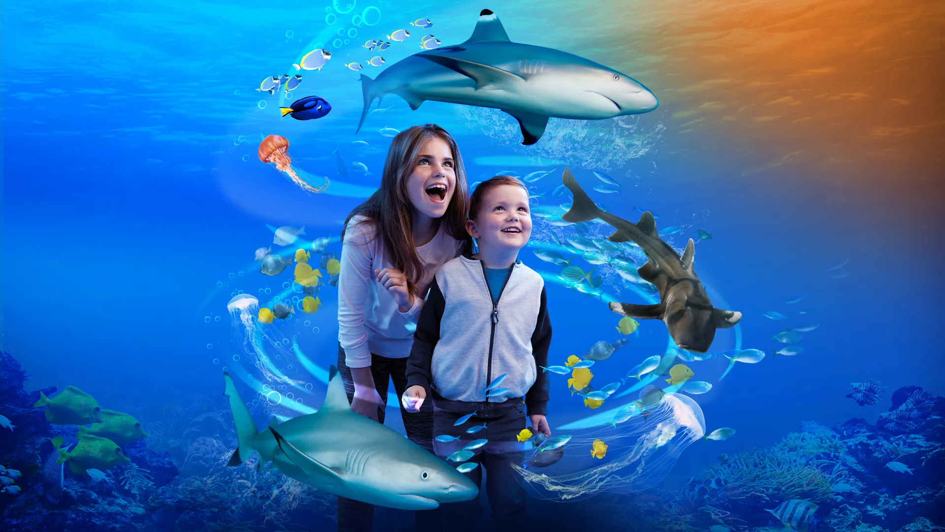 Shark week 