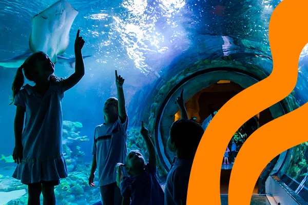 Schools Section 4 600X400