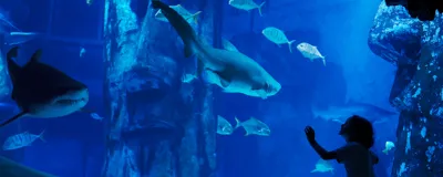 Schools Footer 1 1920X768