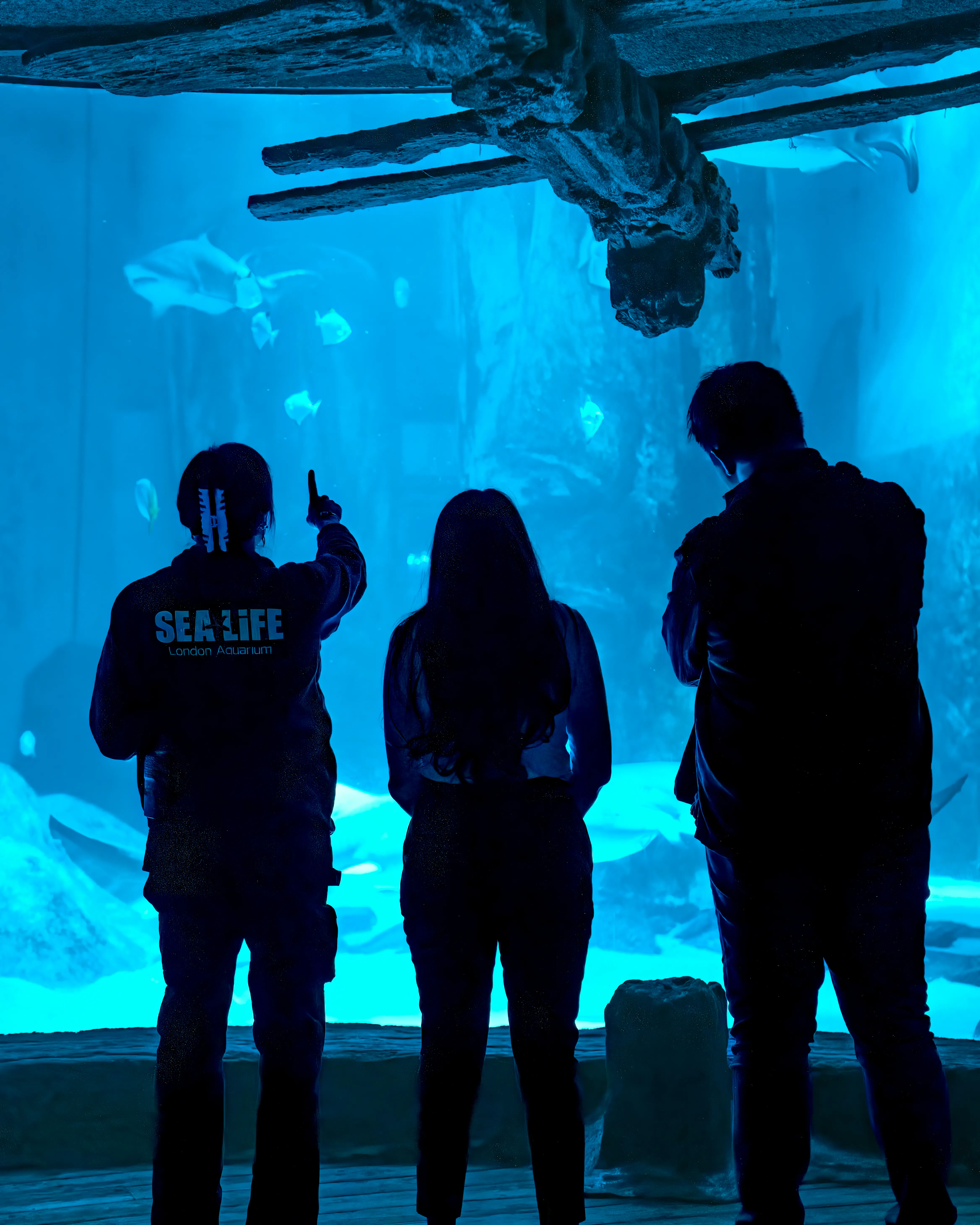 Sealife Socialsshoot 16