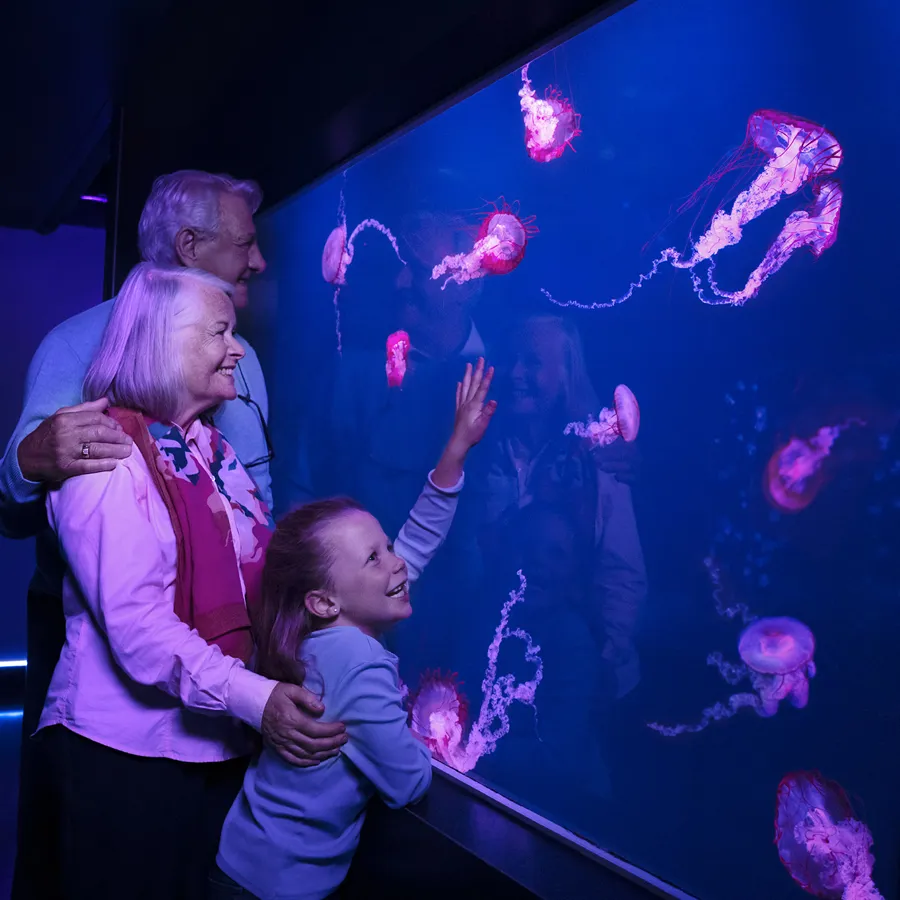 London Explorer Pass | 2 Attractions