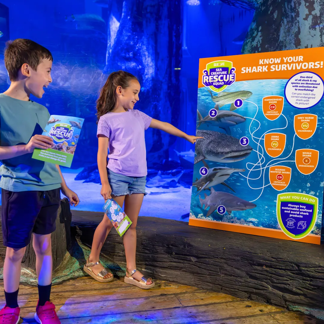 Sea Creatures Know Your Shark Survivors