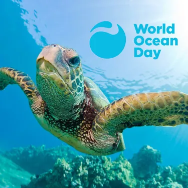 World Ocean Day