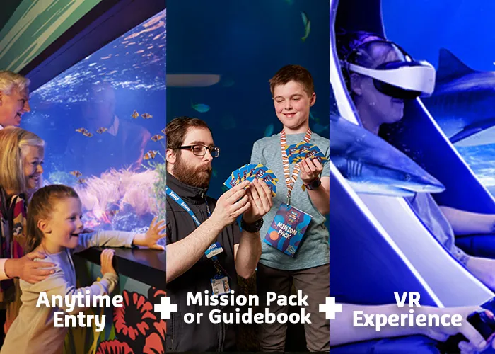 Deluxe Package 7X5 Text