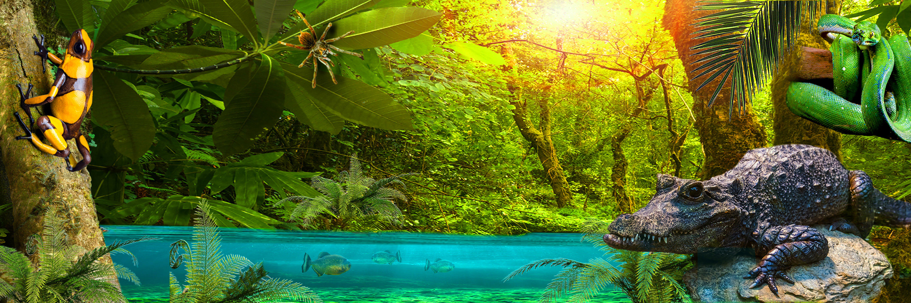 Rainforest Adventure! SEA LIFE London Aquarium