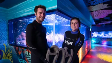 Resting Reef Blog 720X410px