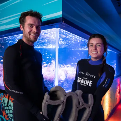 Resting Reef Blog 720X410px