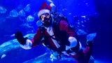 Xmas1