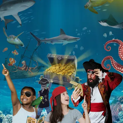 Pirates | Sea Life London