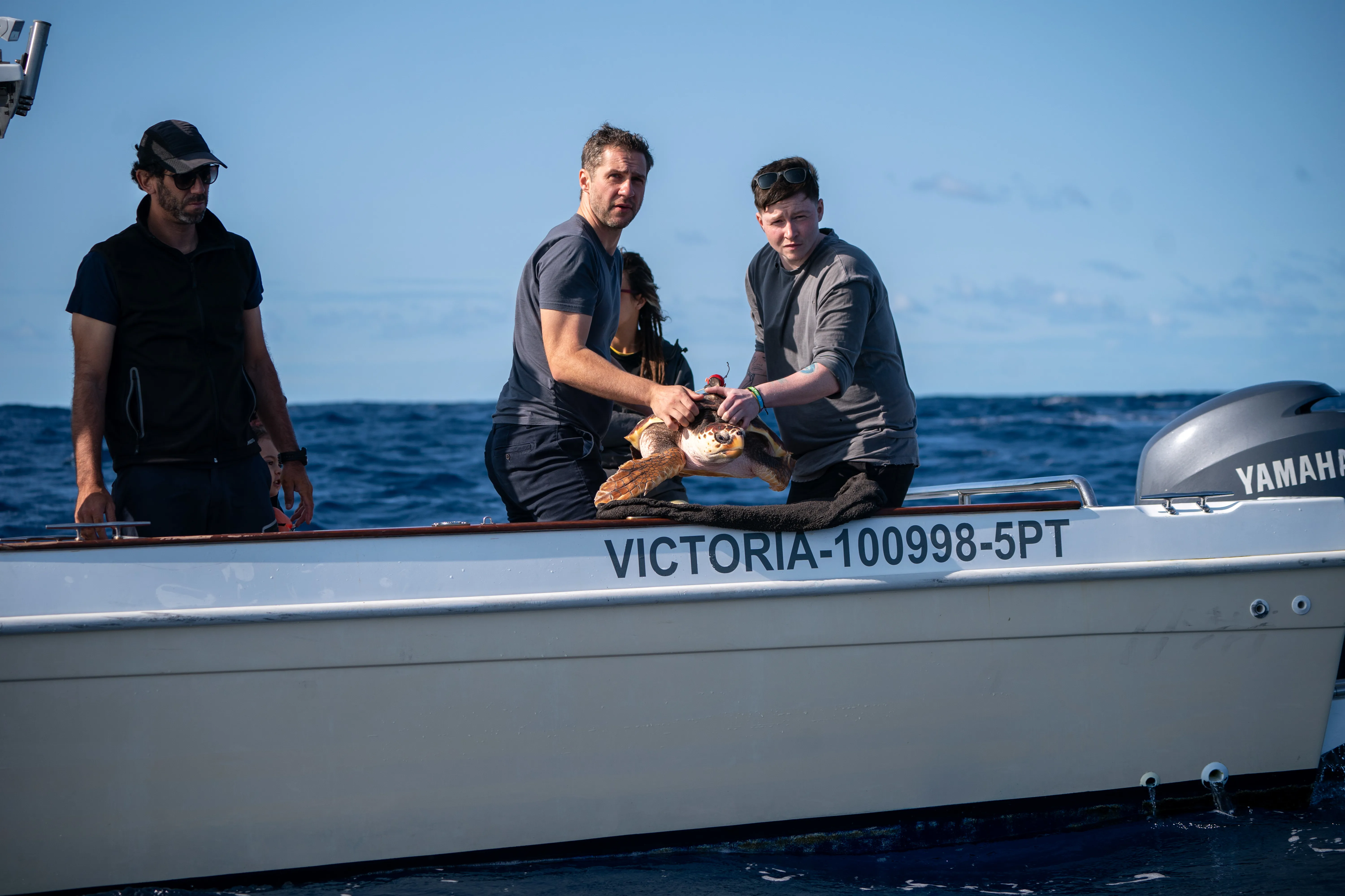 AZORES Iona 40