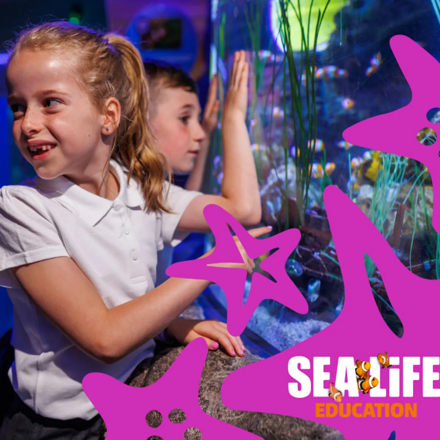 Educational School Trips SEA LIFE London Aquarium