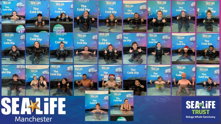 Collective Photo