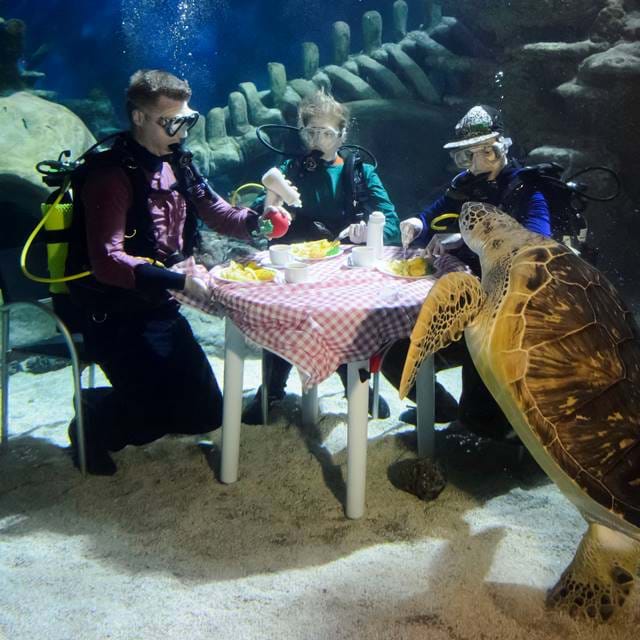 Dining Under The Sea