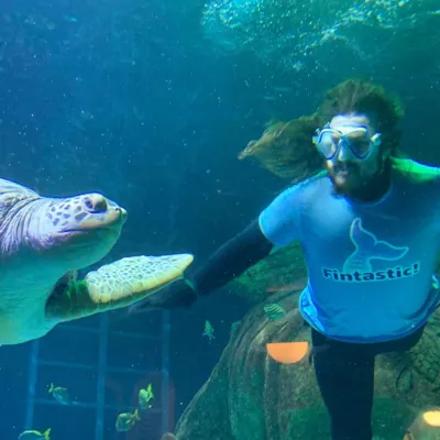 Aquarist at SEA LIFE