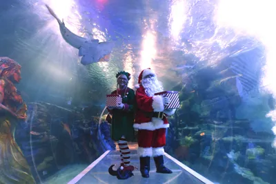 Elf and Santa in the ocean tunnel at SEA LIFE