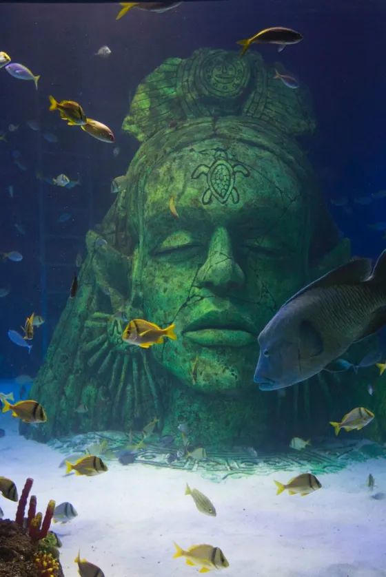 Visit SEA LIFE Manchester Aquarium Trafford Palazzo visit-sea-life-manchester-aquarium-trafford-palazzo