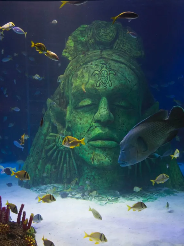 Visit SEA LIFE Manchester Aquarium Trafford Centre